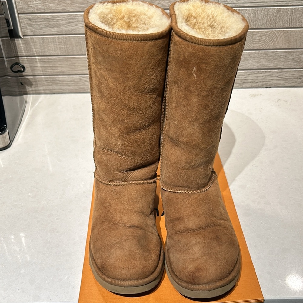 Ugg Boots - Chestnut Suede